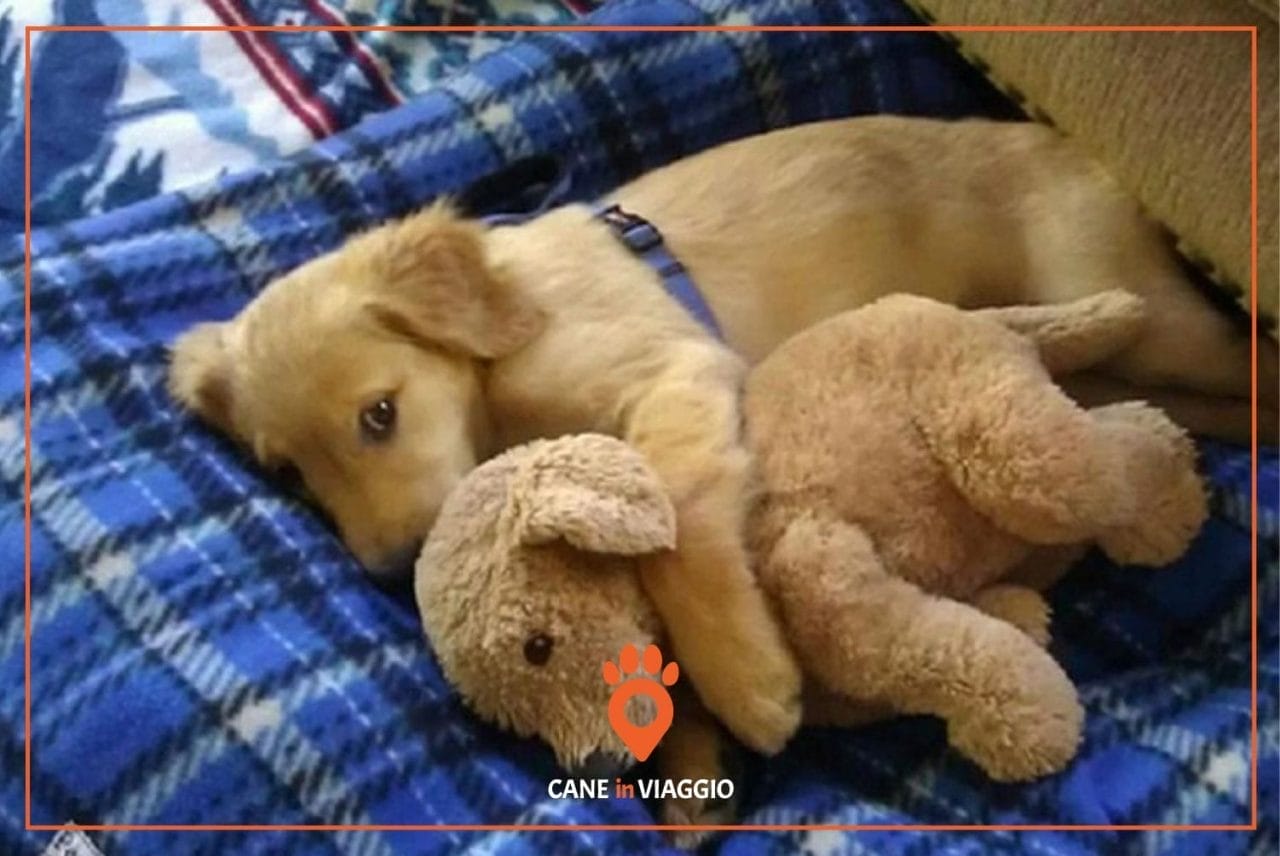 Vieni via con me! Ma il pupazzetto?