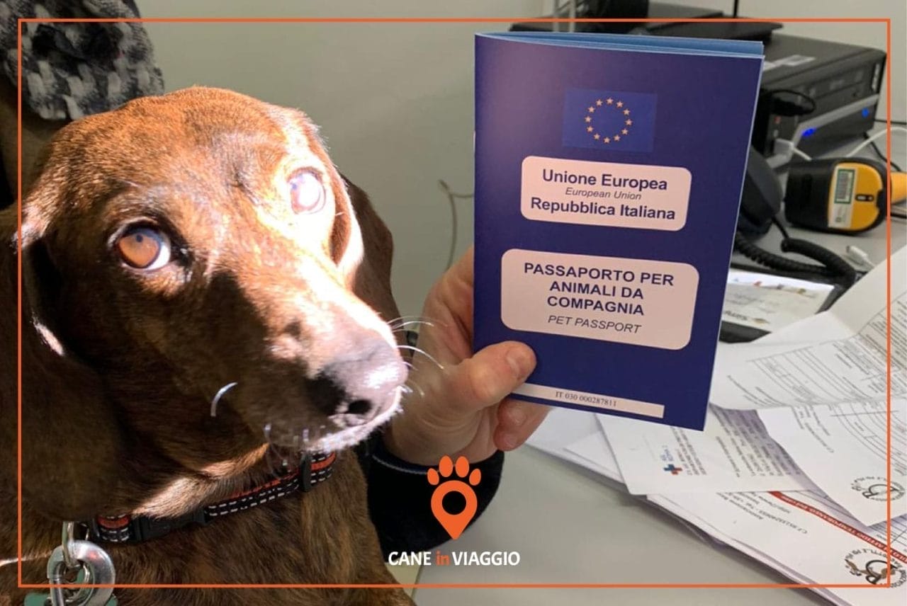 Pet passport: viaggiare in UE con i 4 zampe!