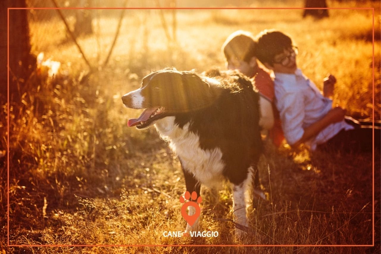 bambini giocano con un cane in un agriturismo
