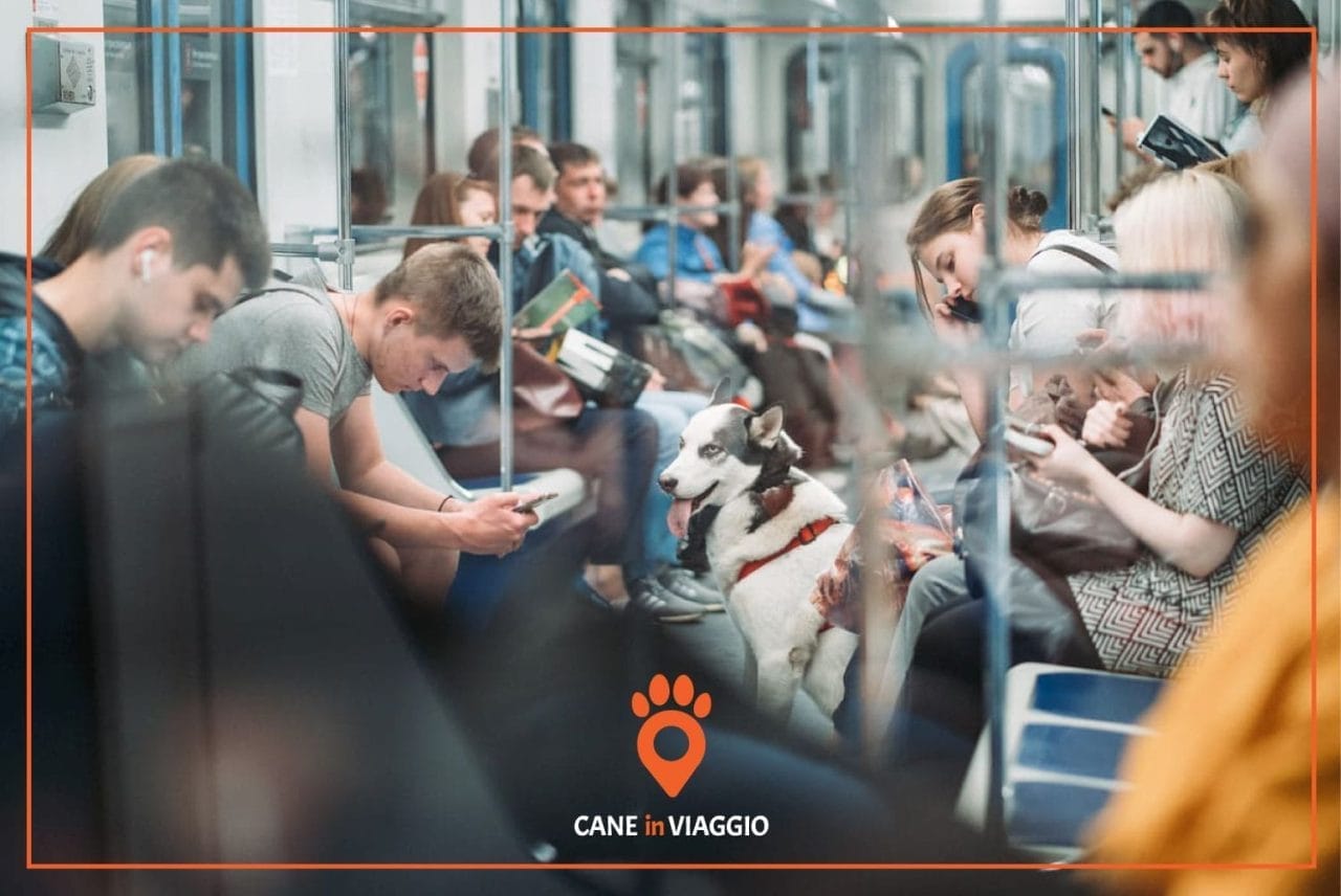 cane attende seduto nella metro a Roma