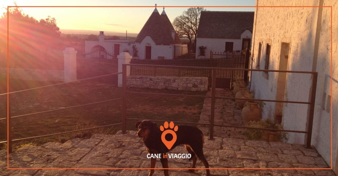 Trekking in Puglia con il cane: 5 itinerari da percorrere insieme