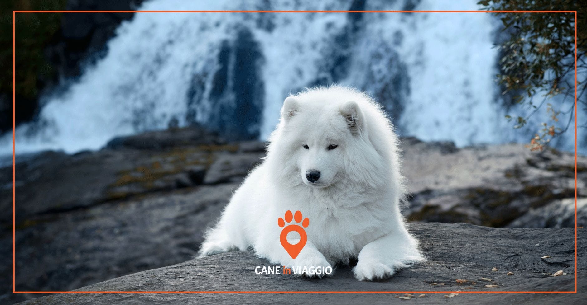 cane seduto vicino alle cascate durante il trekking in Lazio
