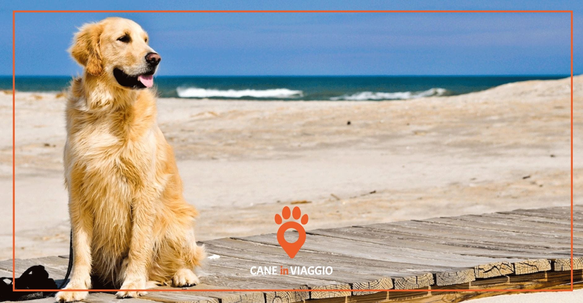 Spiagge per cani Veneto