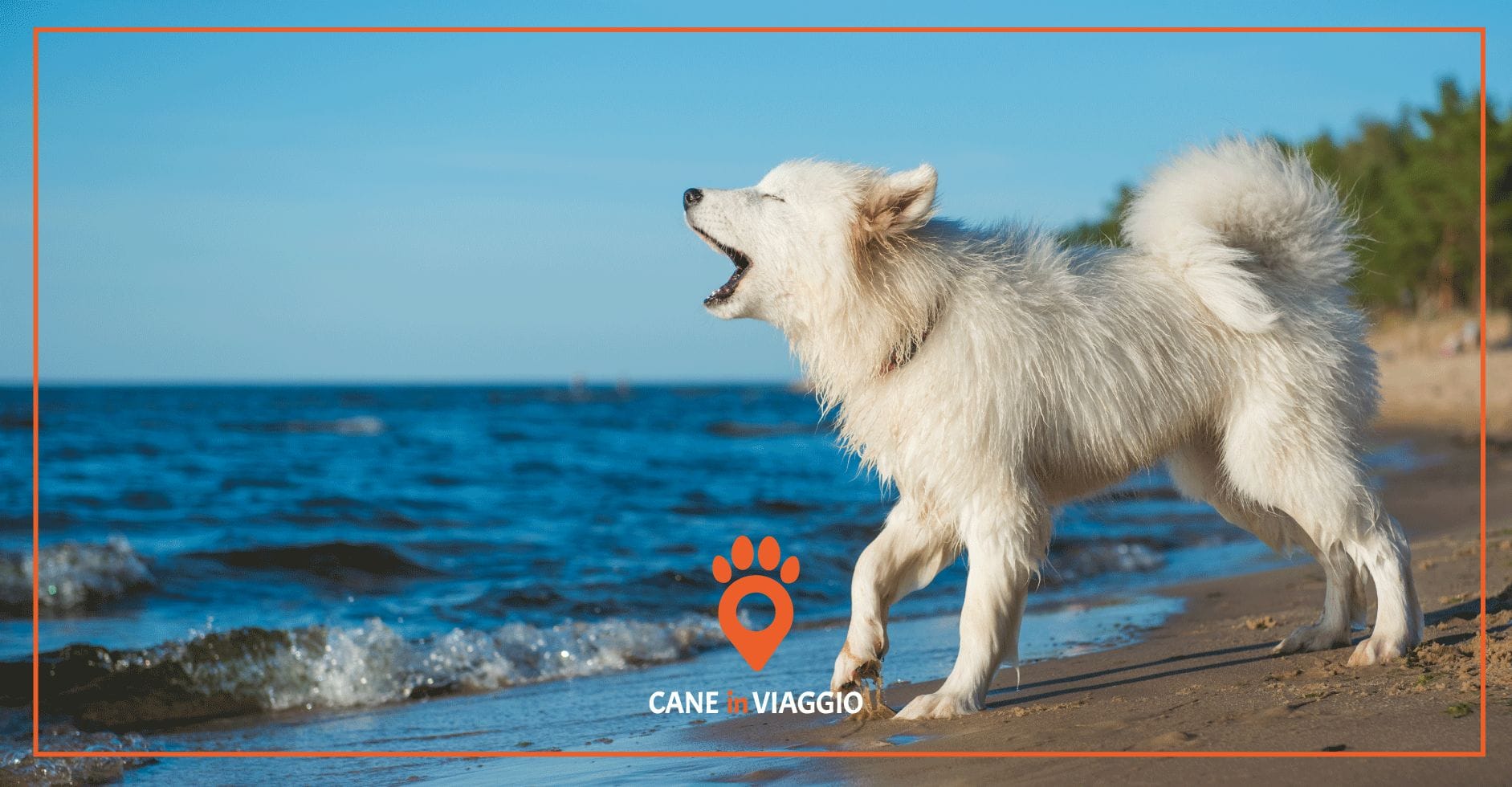 Spiagge per cani Sicilia