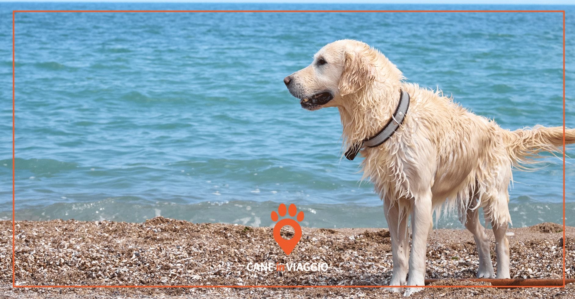 spiaggia per cani in Liguria