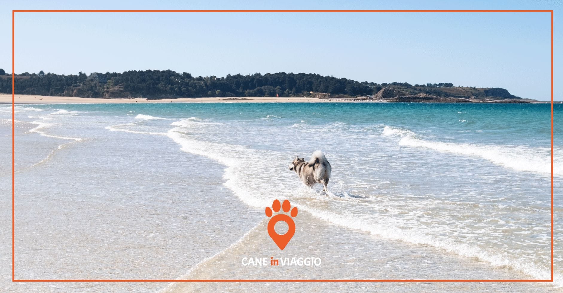 Spiagge_per-cani_Lazio