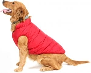 Abbigliamento per Cani, Maglione, Cappotti Invernali Caldi