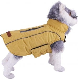 Cappotti e Giubbotti per Cani