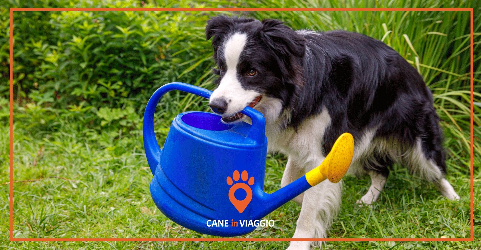 Conosciamo tutti le regole per tenere un cane in giardino?