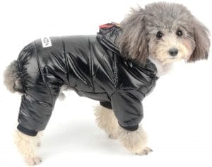 tuta da neve impermeabile per cani