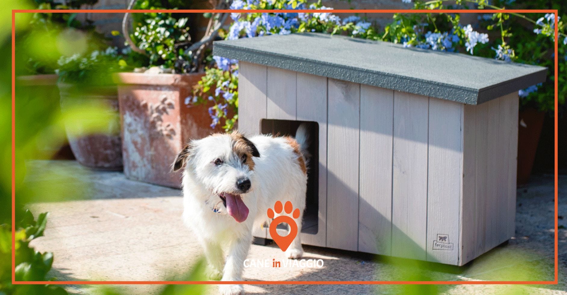 cucce per cani da esterno