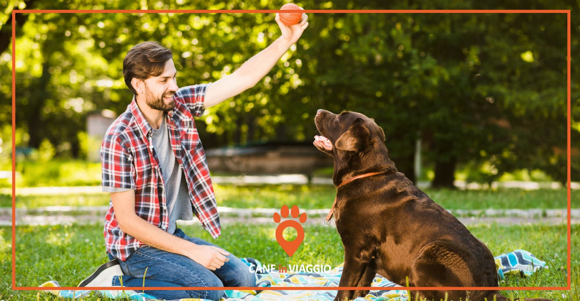 Insegnare il riporto al cane: tutto quelli che devi sapere