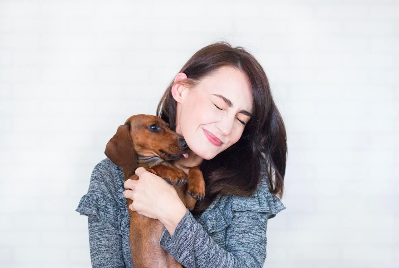 Linguaggio dei cani: impara a capire Fido