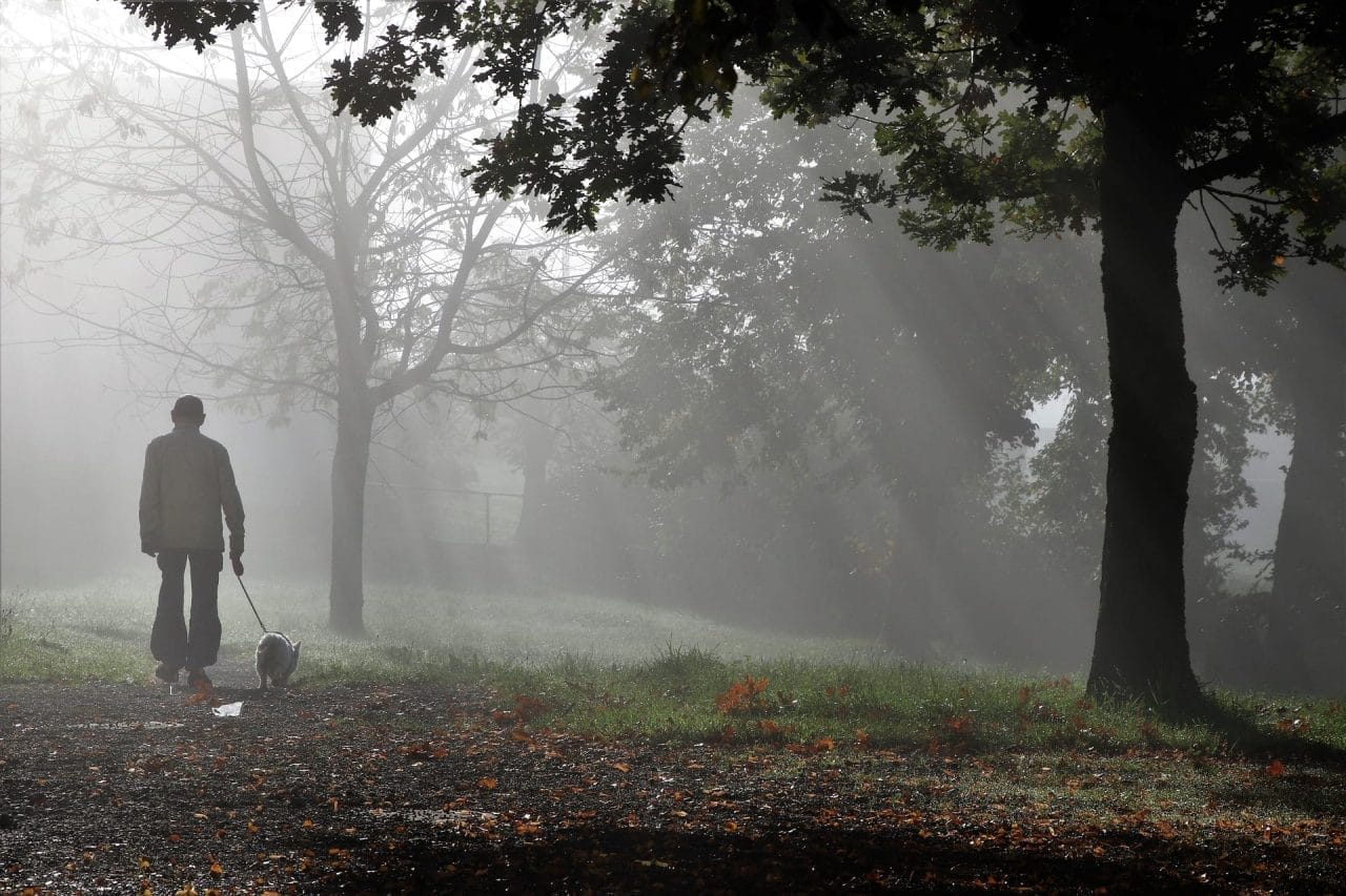 Come affrontare la perdita di un cane