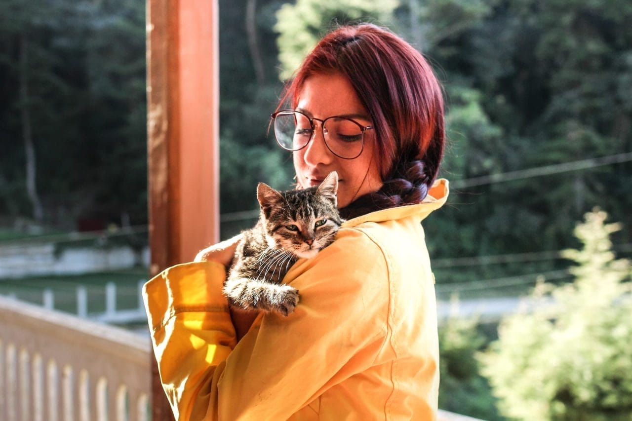 Il gatto sceglie un solo padrone: verità e leggenda dietro questa diceria
