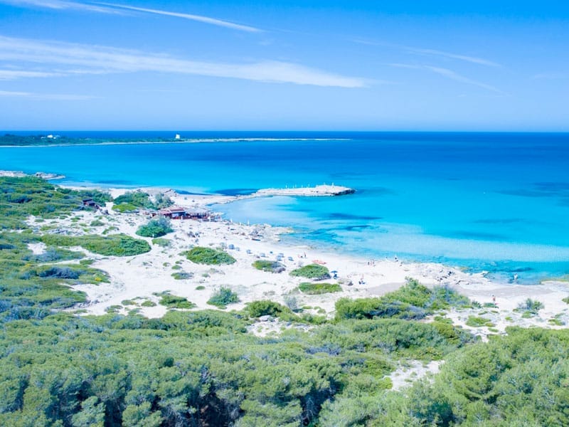Campeggi con cani ammessi in spiaggia: vacanze a misura di zampa